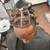 Braids, Twists, Weaves, Wigs 8 thumbnail