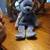 Beanie babies brand new with tags 9 thumbnail