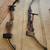 Archery two compound bows good condition 1 thumbnail