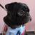 Dog Grooming (Pooch Bar) 7 thumbnail