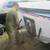 MARINE ENGINE REPAIR 6 thumbnail
