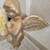 Golden Paper Mache Angel 2 thumbnail