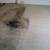 CARPET CLEANING SERVICES 👈☎️ SOFA _ MATTRESS _ ORIENTAL RUG CLEANER _ URI 13 thumbnail