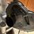 Continental MK8 Golf R Turbocharger OEM VW Volkswagen Upgrade for GTI 2 thumbnail
