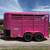 2026 DELCO 2 HORSE BUMPER PULL WITH SPARE PINK 12K-GVWR 5 thumbnail