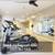 Gorgeous 1 bed / 1 bath! 700 Sq Ft! Must see! 2 thumbnail