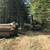 Low impact logging & lot clearing 4 thumbnail