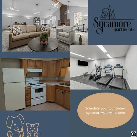 Pet-Friendly One Bedrooms with Pool & Fitness Room 1