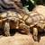 REPTILE PET STORE!!--LOOK!! 10 thumbnail