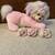 Plush Puppy Surprise with 3 puppies - Vintage - 1991 1 thumbnail