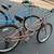 Beach Cruisers 1 thumbnail
