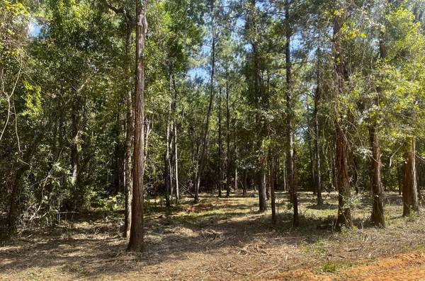 $89,900 9.5 Acres de terreno residencial vacante en Chipley, FL | Financiamiento con $10K (Chipley, Florida)64193142681987120