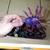 HALLOWEEN Spider Light Decoration Decor Animation Vintage New Lights 5 thumbnail