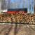 Firewood 1 thumbnail