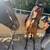 Lusitano Mare 3 thumbnail