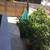 Orange Drive! Sunset LaBrea area Spacious! 2 Parking Possible 8 thumbnail