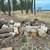 Firewood Rounds 3 thumbnail