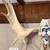 Moose skull with antlers 4 thumbnail