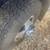 1999 F350 Powerstroke Diesel Dually - Sell or part trade 10 thumbnail