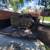 Miguel's yard clean up.mowing.gutter.cleaning 13 thumbnail
