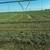 2025 Alfalfa Round Bales 3 thumbnail