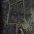 Owner Financed Land Starr County Salineño TX. 1 thumbnail