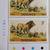 1985 Stamps TANZANIA LION SIMBA (Panthera Leo) 8 thumbnail