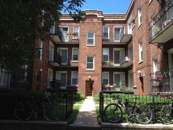 $975 / 425ft2 - Gorgeous Studio Apt. (1902 W. Cullom Ave.)64041646032643120