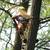 👷🏻‍♂️🌳 Tree Services, Tree trimming, Stump Grinder, Chipper.🌳 6 thumbnail