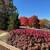 Move in Time to Watch the Leaves Change at Beautiful Suson Pines! 1 thumbnail