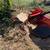Tree service...stump removal. 11 thumbnail