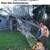 tree service 2 thumbnail
