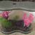 Small Betta Fish Tank 1 thumbnail