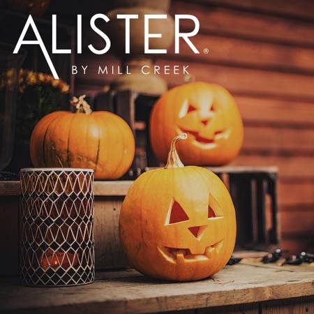 $1,365 / 1br - 625ft2 - Fall Showers of Savings in a 1 Bedroom Apartment at Alister Parx (Everett)63934289604098120