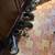 adorable kittens with unique markings 1 thumbnail