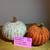 Decorative Pumpkins - unique, various sizes and stems 3 thumbnail