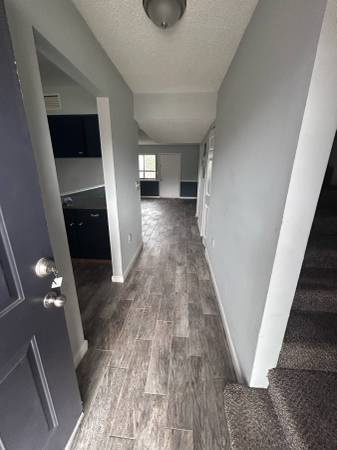 $950 / 2br - $950  MOVE IN SPECIALS* 2 BED 1 BATH, COME TO SEE YOUR NEW HOME (2805 MINESSOTA AVE LYNN HAVEN FL)63812986393345120