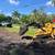 TREE TRIMMING, TREE REMOVAL, LANDSCAPING MULCH, STONE, STUMP GRINDING 16 thumbnail