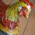 1940s CLUCKING EGG LAYING TOY HEN - Baldwin Mfg Co 2 thumbnail