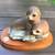 Seal Statue on wood base 2 thumbnail
