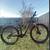 SPECIALIZED FSMTB 1 thumbnail