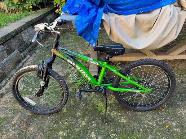 Diamondback Cobra 20 Kids Mountain bike 1