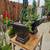 Garden - Plants - Cactus - Succulents for Sale! 4 thumbnail
