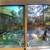 **For Rent: Bright & Spacious Downstairs Garden Unit in Woodacre** 15 thumbnail