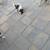 Puppies for re homing 2 thumbnail