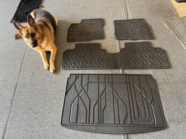 OEM Chevy Bolt all-weather floor mats and cargo mat 1