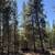 #29 Crescent Moon Drive ~ 1.15 Acres   >>> Diamond Meadows<<< 16 thumbnail