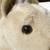 Vintage 1979 Dakin Pillow Pet Plush Horse Tan Brown, 23" x 22" XL 23 thumbnail