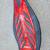 Razor RipStik Red Caster Board Skateboard Skate board 2 thumbnail