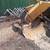 TREE , PALM TREE , STUMP REMOVAL AND HAULING SERVICES  (Bay Area) 19 thumbnail